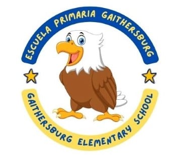 new GES (1).jpg