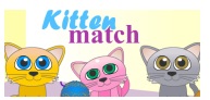 kitten match