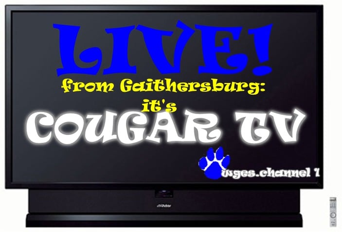 livectv livectv