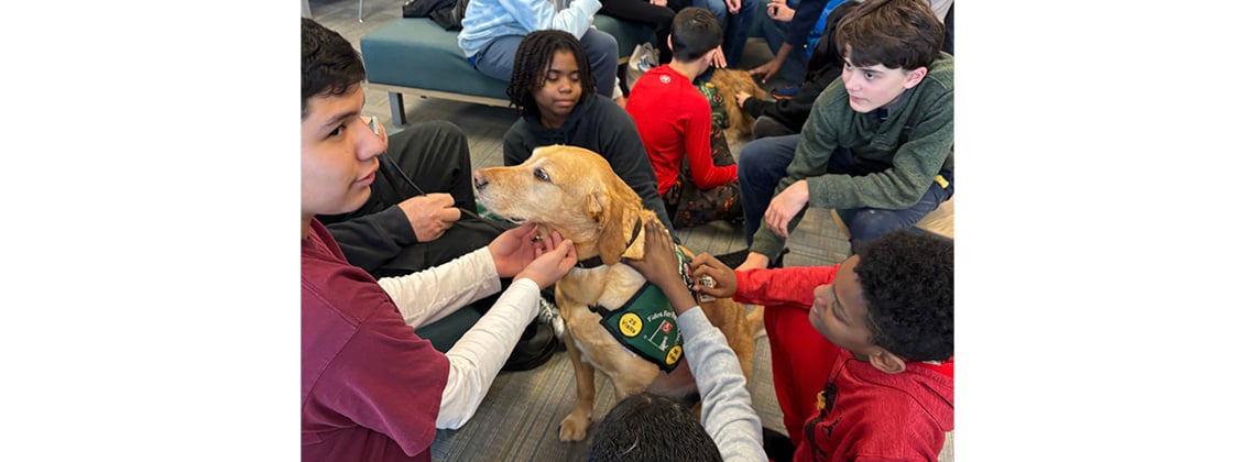 Therapy dogs edited.jpeg