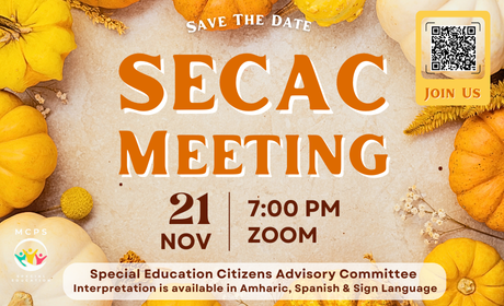 Nov Secac Website Ad.png