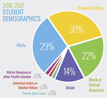 student demographics